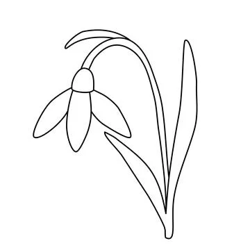 Leaning snowdrop spring flower, open bud,, doodle style flat vector outline for Stock Illustration