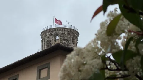 Leaning Tower of Pisa, framed by spring blossoms on a cloudy day Stock Footage 308241537