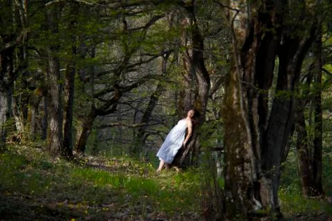 Leaning on a tree Stock Photos