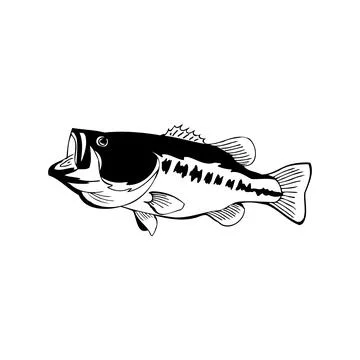 Leaping Fish vector Illustration Monochrome Stock Illustration