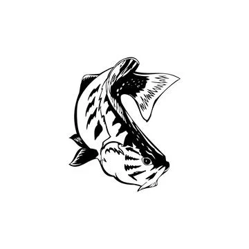 Leaping Fish vector Illustration Monochrome Stock Illustration