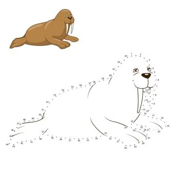 Learn to draw animal walrus vector illustration Stock Illustration