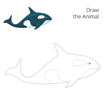 Learn to draw animal whale vector illustration Stock Illustration