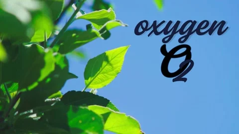 Learn how oxygen supports life and explore its unique properties today Stock Footage 319010836