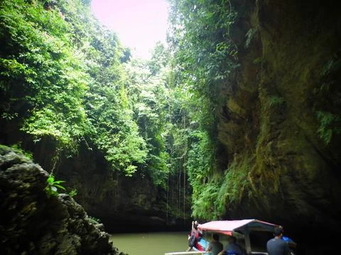 Learn from nature Stock Photos