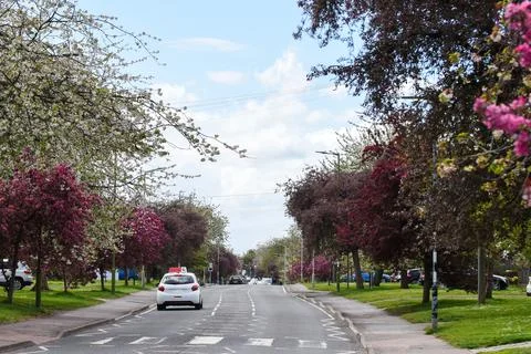 Learner driving having driving lesson to learn to drive on public roads Stock Photos