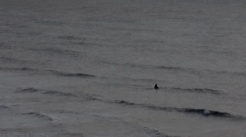 Learner Surfer Stock Footage 47072107