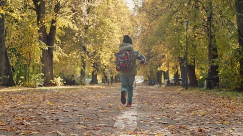 Learning Adventure: Child with Backpack Heads to School in Fall Stock Footage 257072244