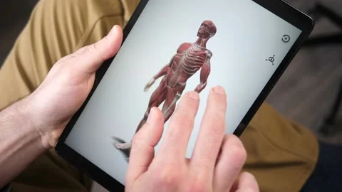 Learning app on a Tablet Showing Human Body Anatomy 스톡 동영상 146998338