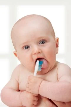 Learning to brush Stock Photos