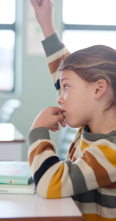Learning, child and hands up for question in class, knowledge and development in Stock Footage 335911895