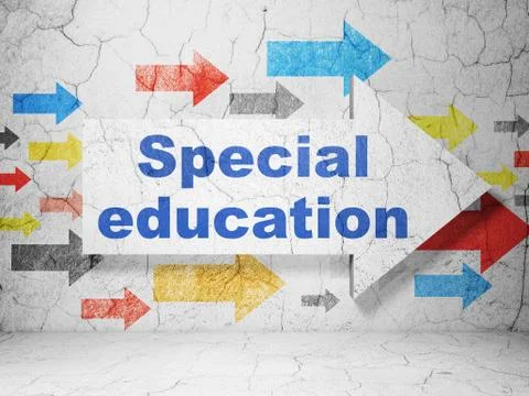 Learning concept: arrow with Special Education on grunge wall background Illustrazione stock