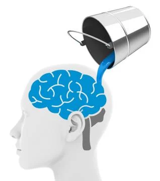 The learning concept Stock Illustration