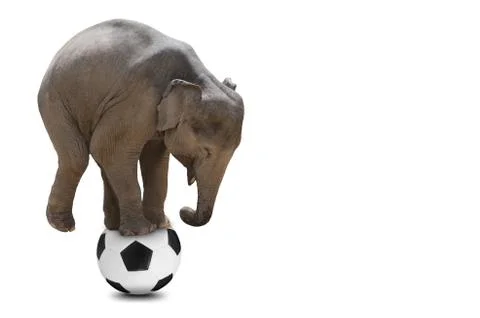 Learning concept. Stock Photos