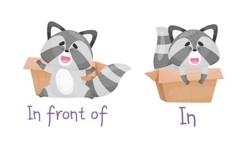 Learning English preposition set. Cute cat in front of and in the box Stockillustratie
