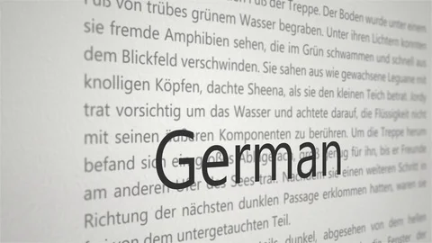 Learning Foreign Language Typography Concept - German Stock Footage 102534561