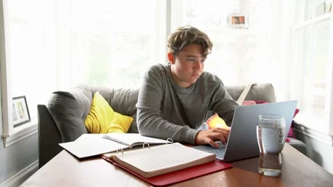 Learning at home Stock Footage 164243858