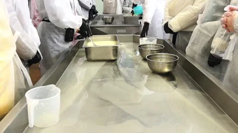 Learning how to make cheese at a local dairy workshop in the countryside during Stock Footage 325729044