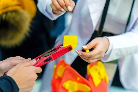 Learning how to tag animals' ears Stock Photos