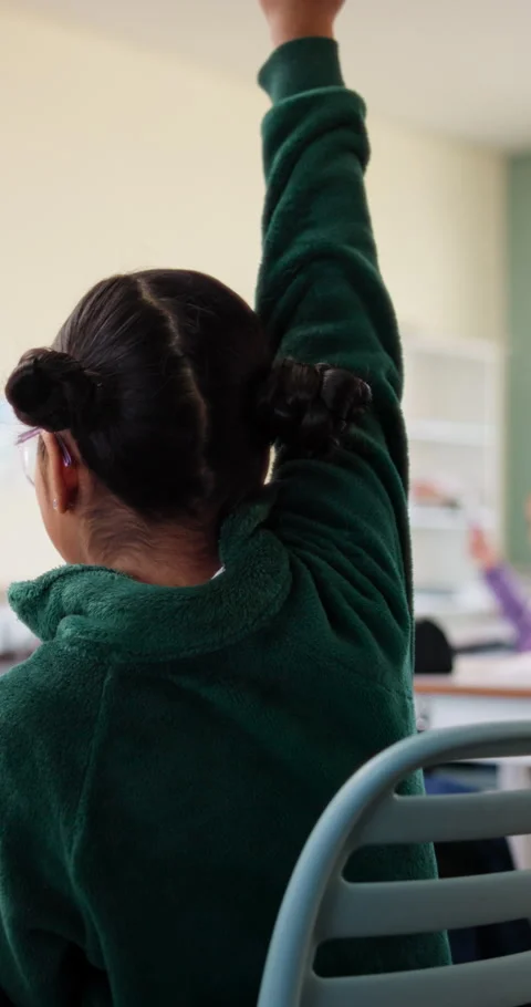 Learning, kid and hands up for question in class, knowledge and development in Stock Footage 335907106