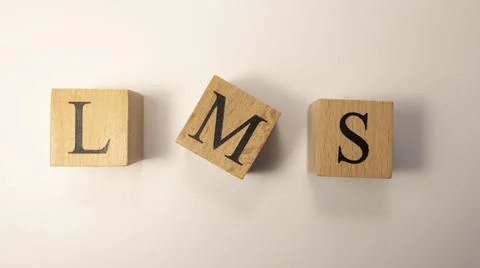 Learning Management System LMS word cloud, business concept Foto stock