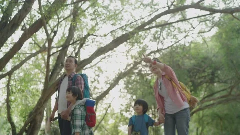 Learning nature of children Stock Footage 158433286