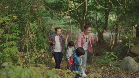 Learning nature of children Stock Footage 158433399