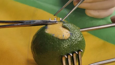 Learning plastic surgery suturing techniques using lime Stock Footage 150565142