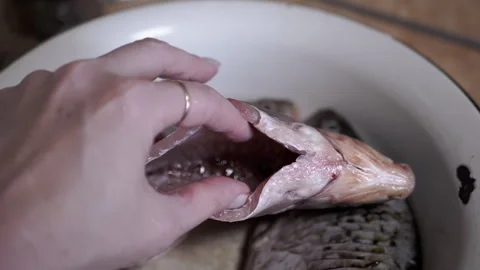 Learning the proper methods for preparing fresh fish before cooking is essential Stock Footage 312014638