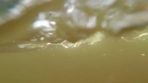 Learning to swim in the river Stock Footage 134111216