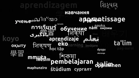 Learning Translated in 55 Worldwide Languages Endless Looping 3d Zooming Word Stock Footage 145211048
