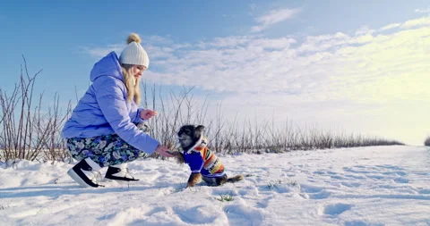 Learning tricks for the dog and the owner from scratch. Stock Footage 253437957