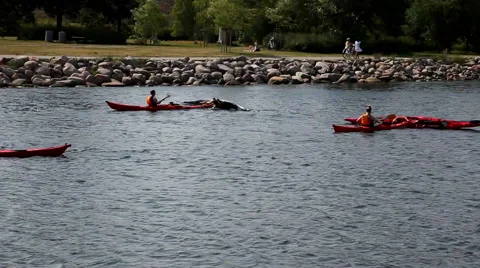 Learning to turn the kayak Stock Footage 40582545
