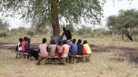 Learning Under a Tree in Africa Vídeos de archivo 220153532