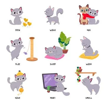 Learning Verbs of Action with Grey Cat Pet Vector Set 库存插图
