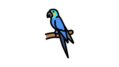 The lears macaw bird exotic color icon animation Stock Footage 224970953