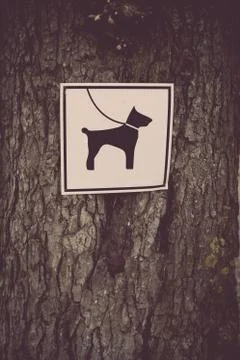 Leash on the dog mandatory Stock Photos