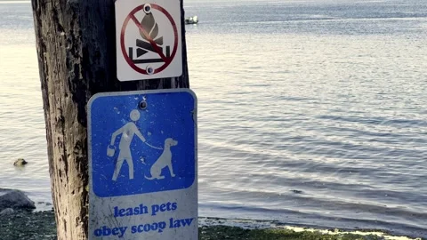 Leash pets and clean up sign on waterfront pier Stock Footage 336877140