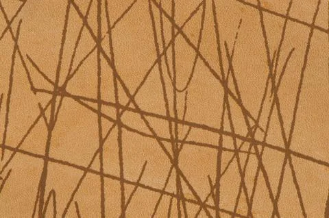 Leather background 库存照片