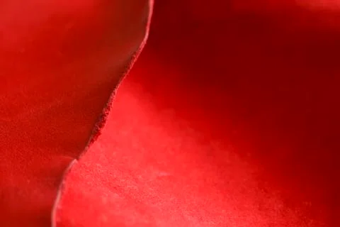 Leather background Stock Photos