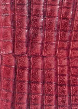 Leather background Stock Photos