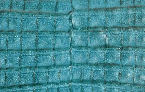 Leather background Stock Photos