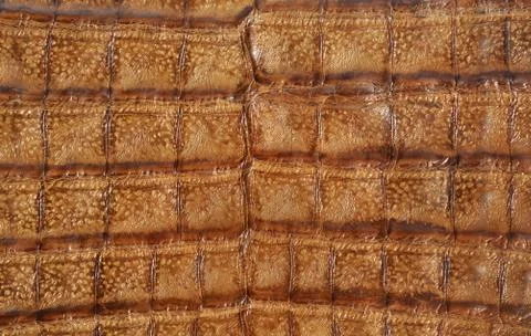 Leather background Stock Photos