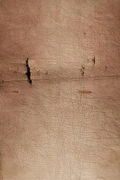 Leather background Stock Photos