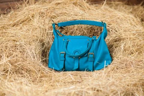 Leather bag in the hay Stock Photos
