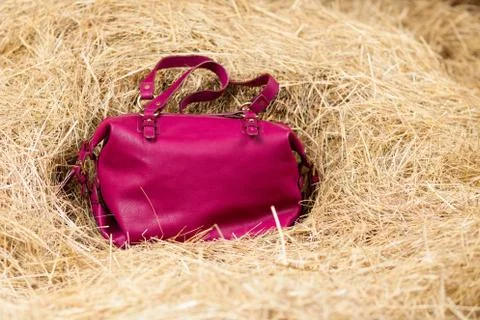 Leather bag in the hay Stock Photos