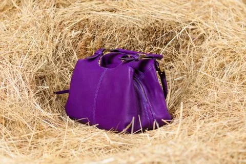 Leather bag in the hay Stock Photos