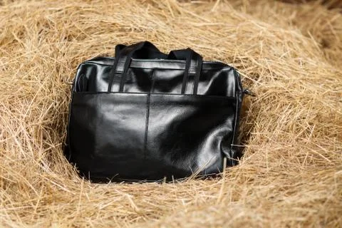 Leather bag in the hay Stock Photos