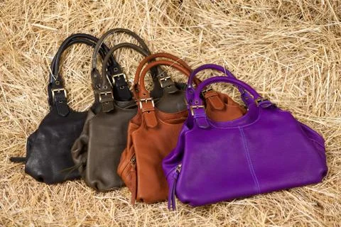 Leather bag in the hay Stock Photos