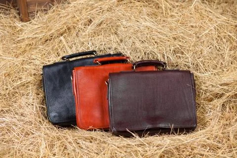 Leather bag in the hay Stock Photos